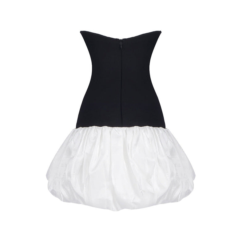 Butterfly Embroidered Bodice Puffball mini Dress in black