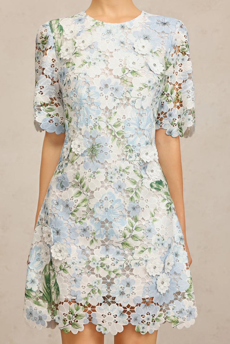 hazel Floral Printed Lace Mini Dress in sky blue