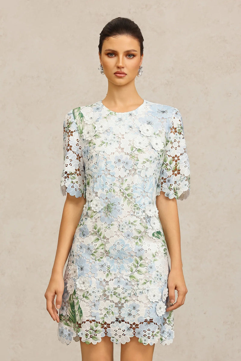 hazel Floral Printed Lace Mini Dress in sky blue