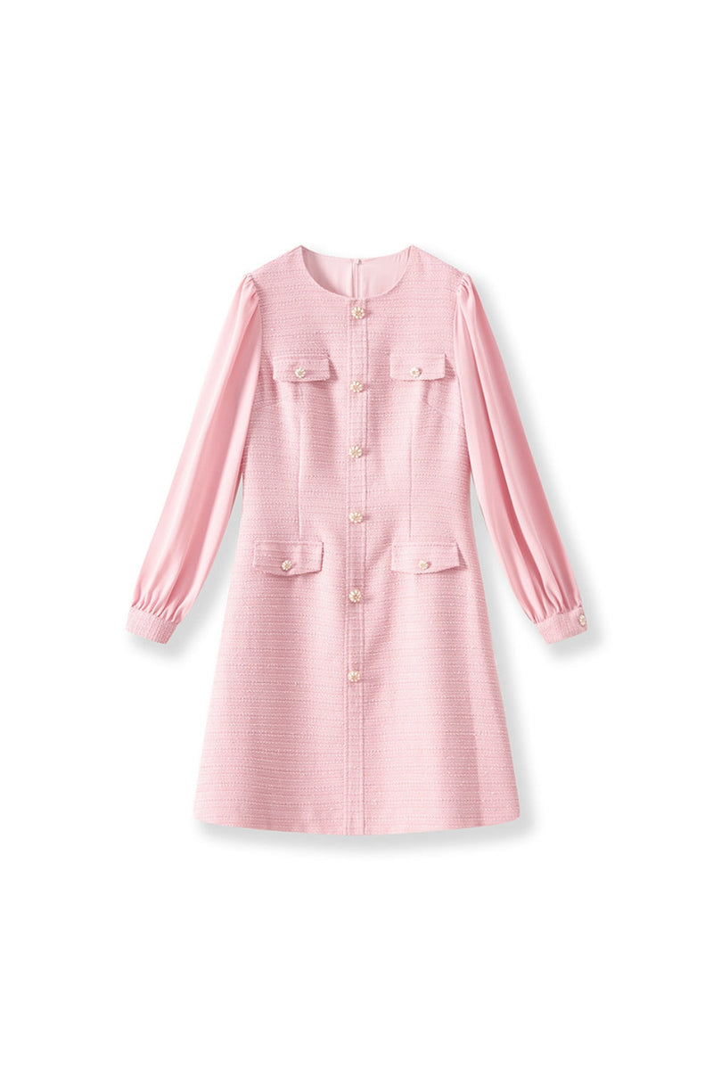 alani Embossed Chiffon Puff Sleeves mini Dress in pink