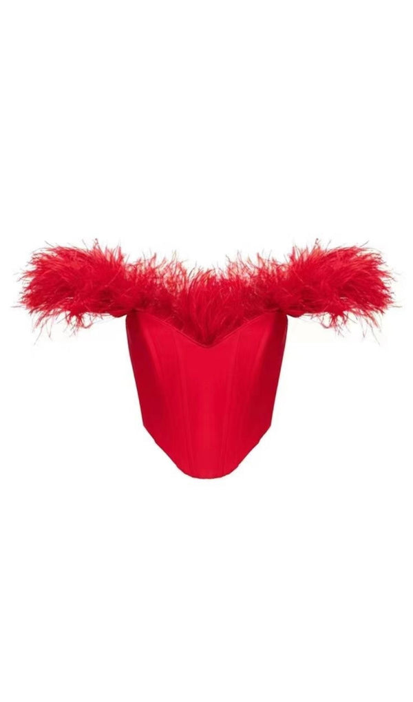 OFF SHOULDER FEATHER CORSET TOP styleofcb 
