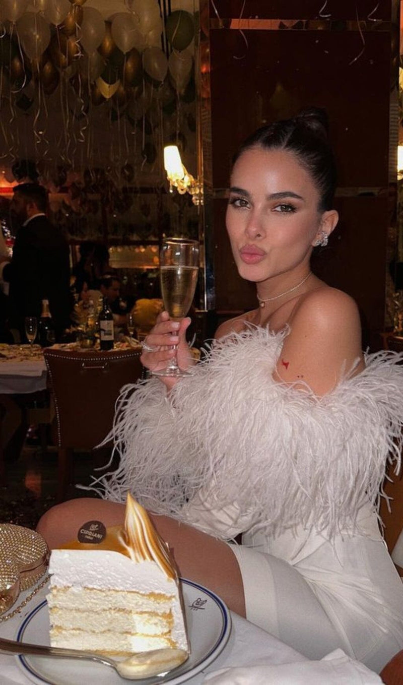 FEATHER CORSET MINI DRESS IN WHITE styleofcb 