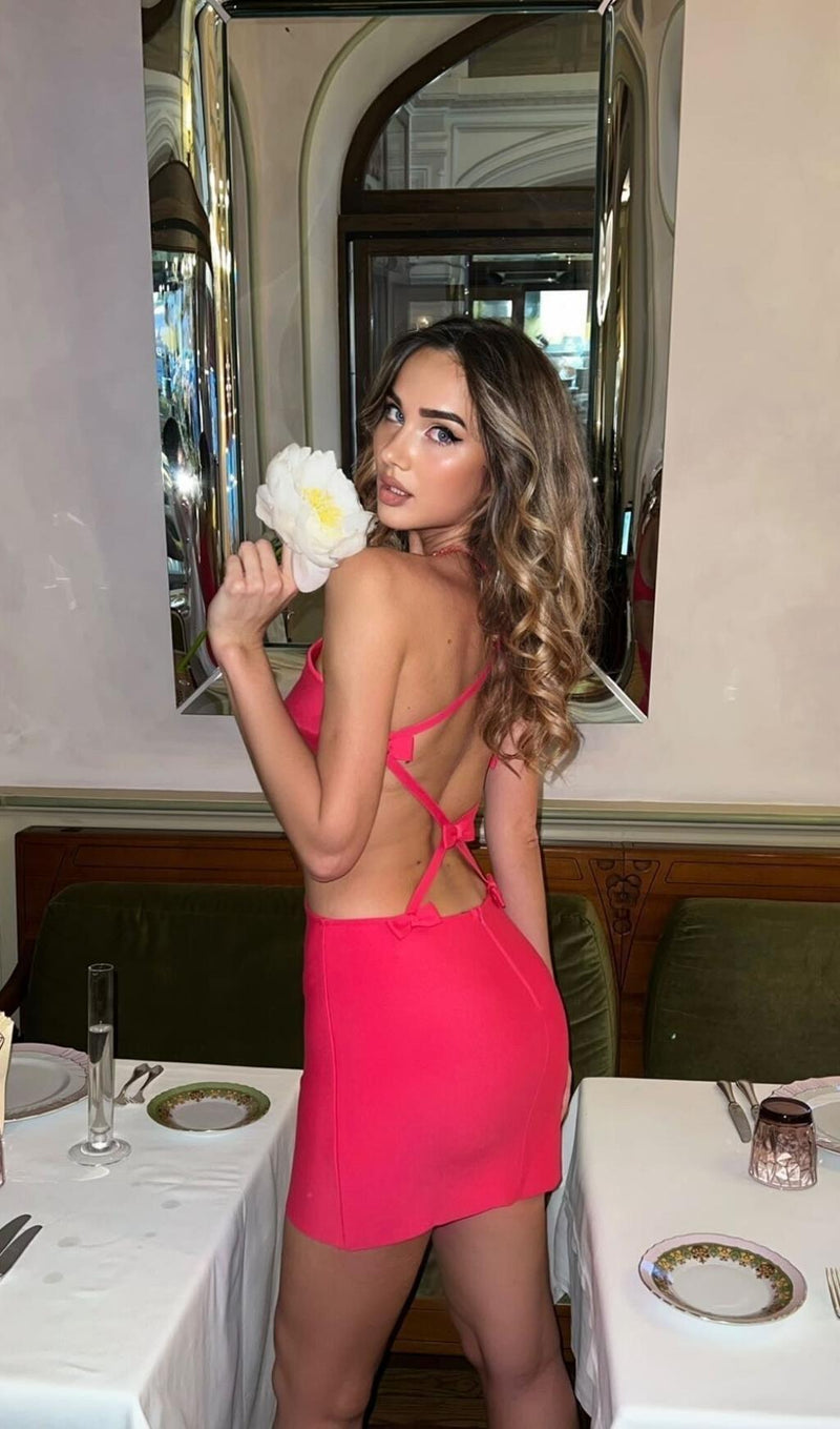 CORSET MINI DRESS IN PINK Dresses styleofcb 
