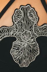 CRYSTAL IRIS EMBROIDERY MINI DRESS IN BLACK styleofcb 