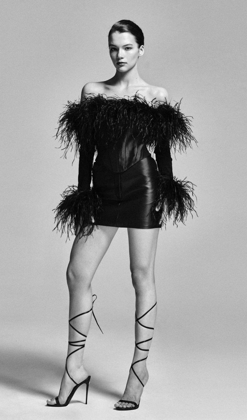 FEATHER CORSET MINI DRESS IN BLACK styleofcb 