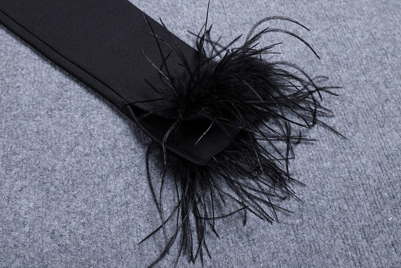 FEATHER CORSET MINI DRESS IN BLACK styleofcb 