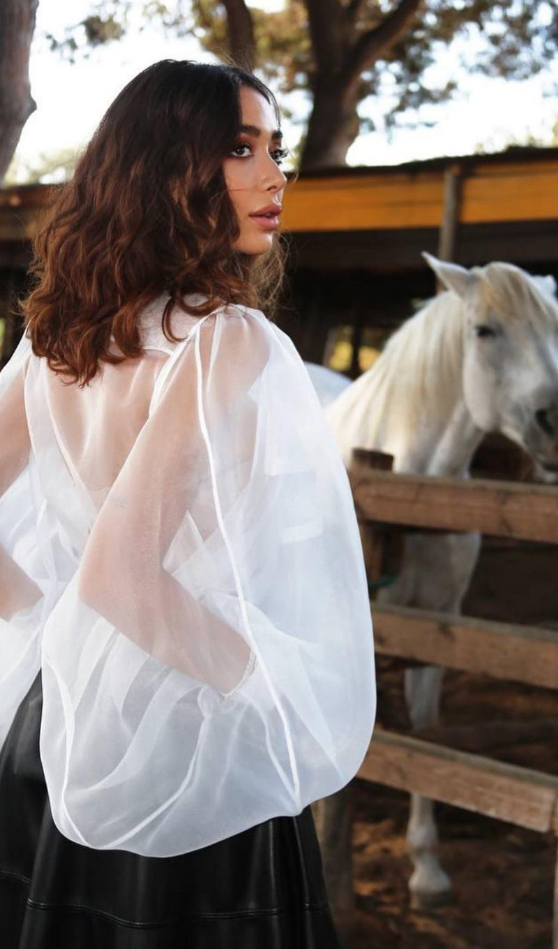 LONG SLEEVE MESH TOP Dresses styleofcb 