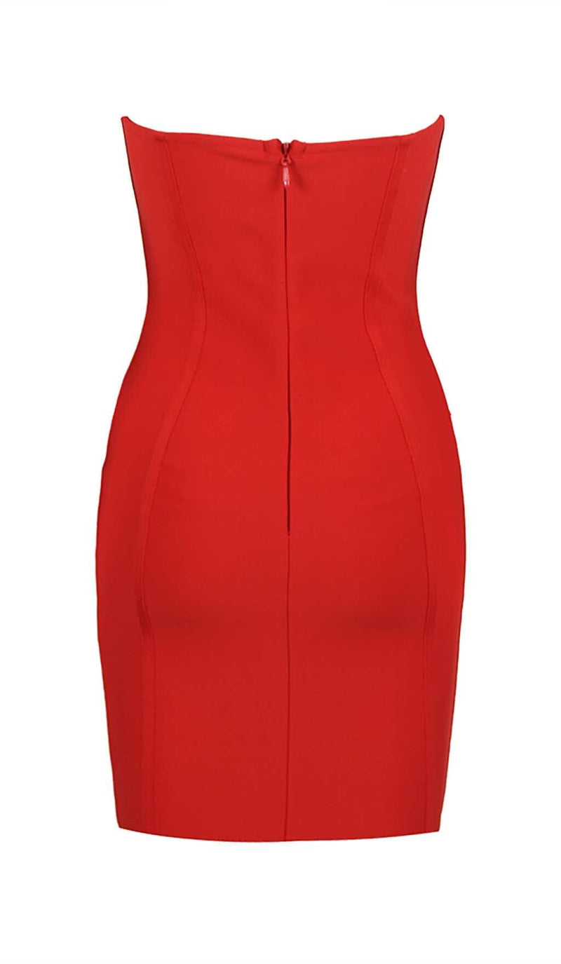 FLOWER EMBELLISHED CORSET MIDI DRESS IN WINE DRESS STYLE OF CB 