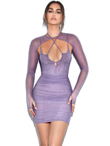 Flora Purple Mesh Long Sleeve Dress Dresses Oh CiCi 