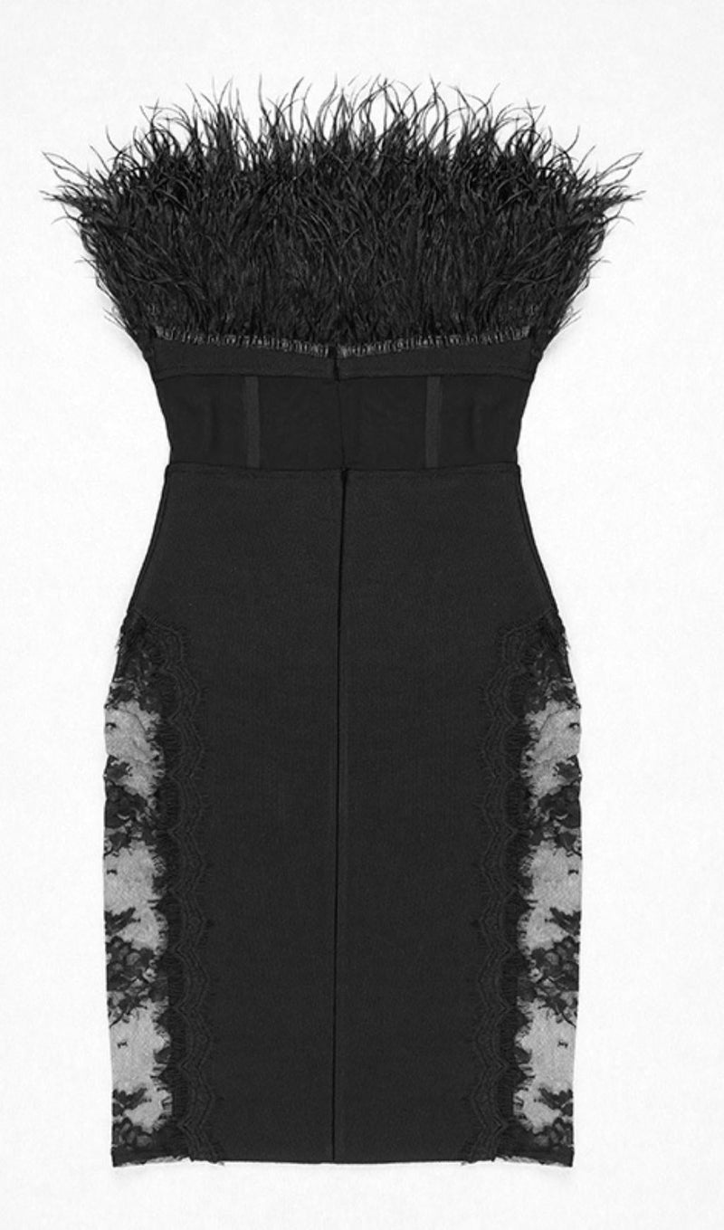 LACE FEATHER DRESS IN BLACK Dresses styleofcb 